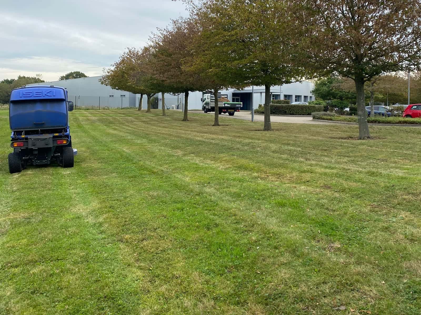 A ride-on mower on striped grass beside an avenue of trees on a business park