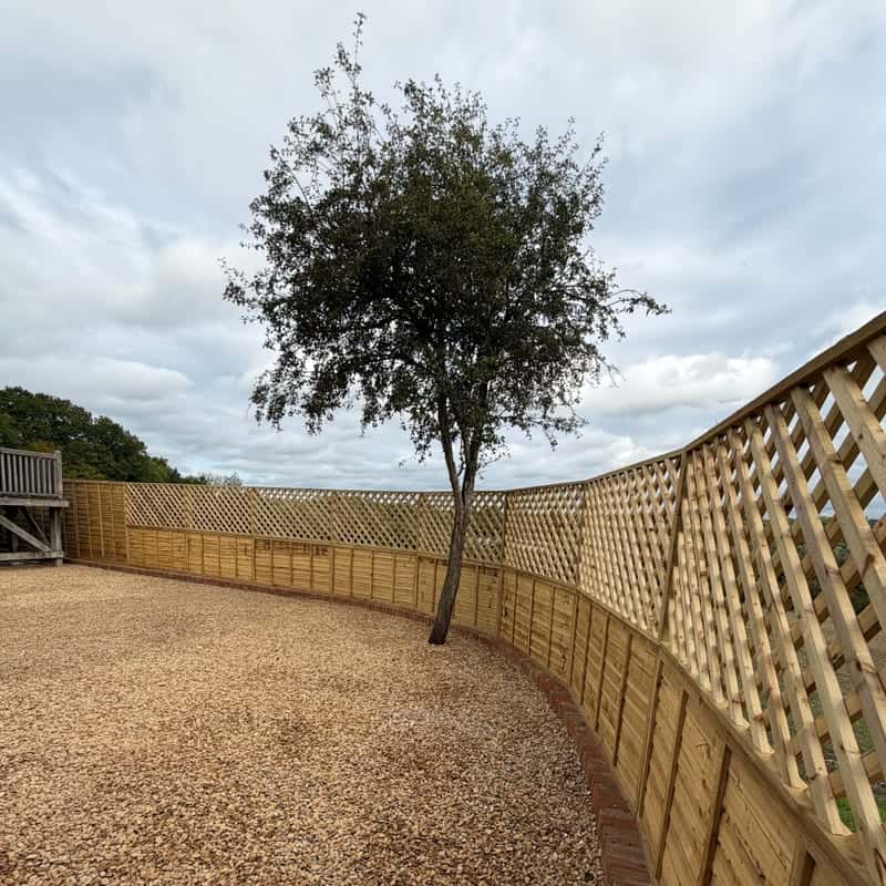 A new curving fence with trellis panels along the top, enclosing a gravel garden around a single tree