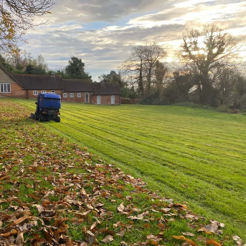 A ride-on mower collecting fallen leaves from a large striped lawn in low winter sun, with a long brick building behind