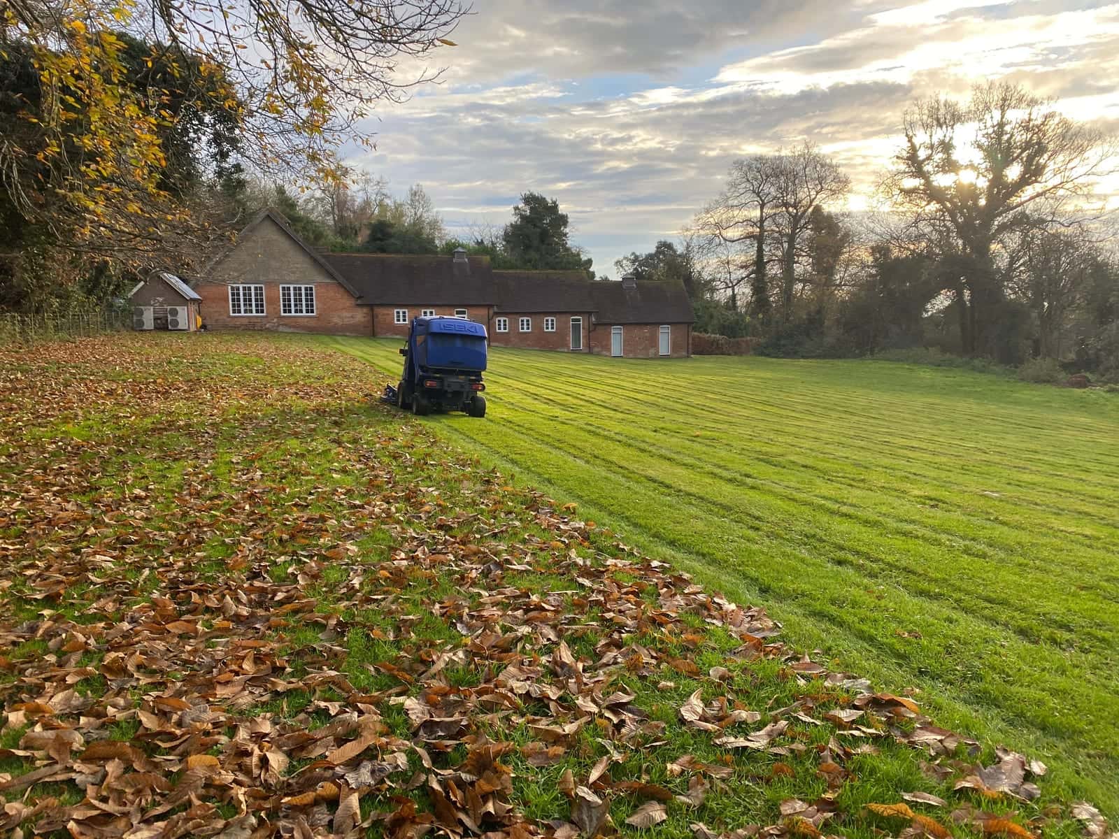 A ride-on mower collecting fallen leaves from a large striped lawn in low winter sun, with a long brick building behind