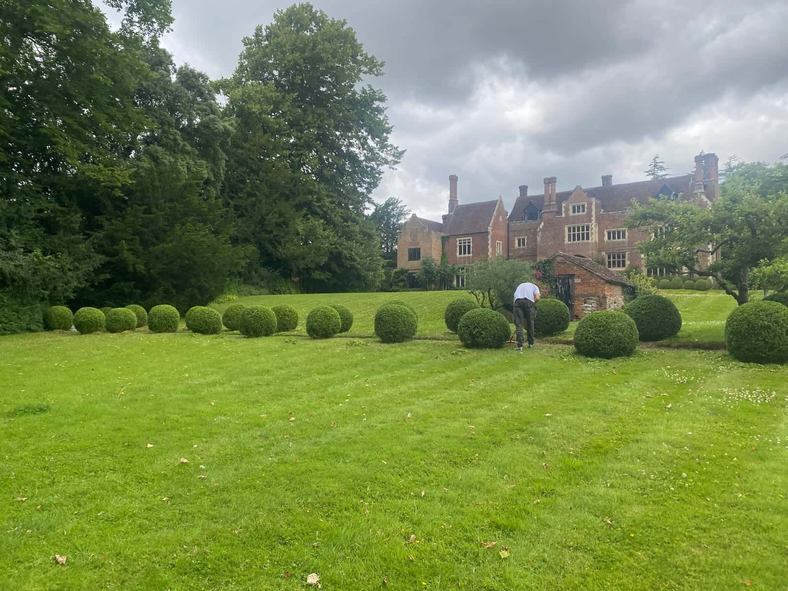 A row of clipped box balls on a striped lawn in front of a brick manor house, with a gardener at work among them