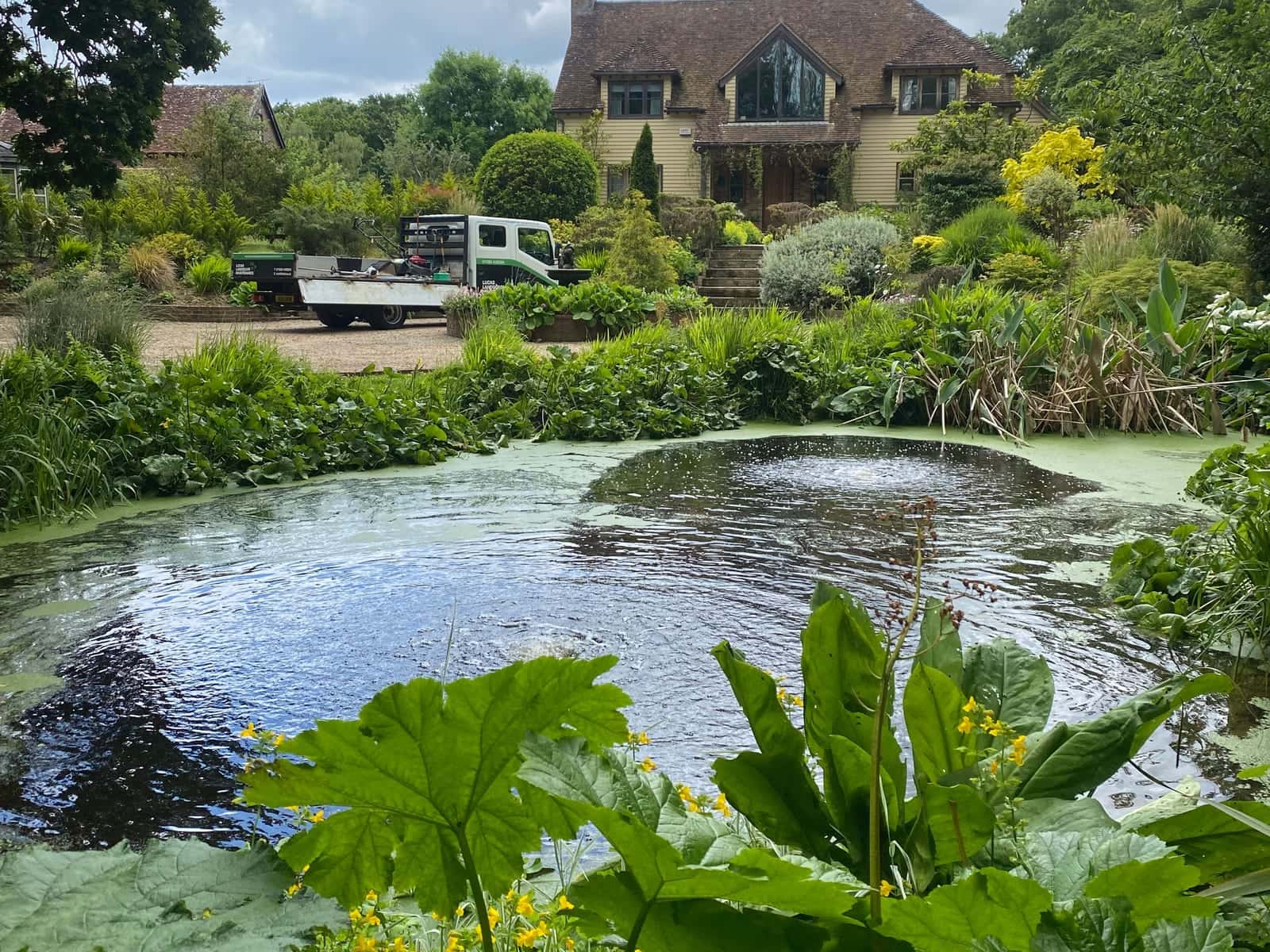 A large garden pond with a fountain, gunnera leaves in the foreground and a house and lawn beyond