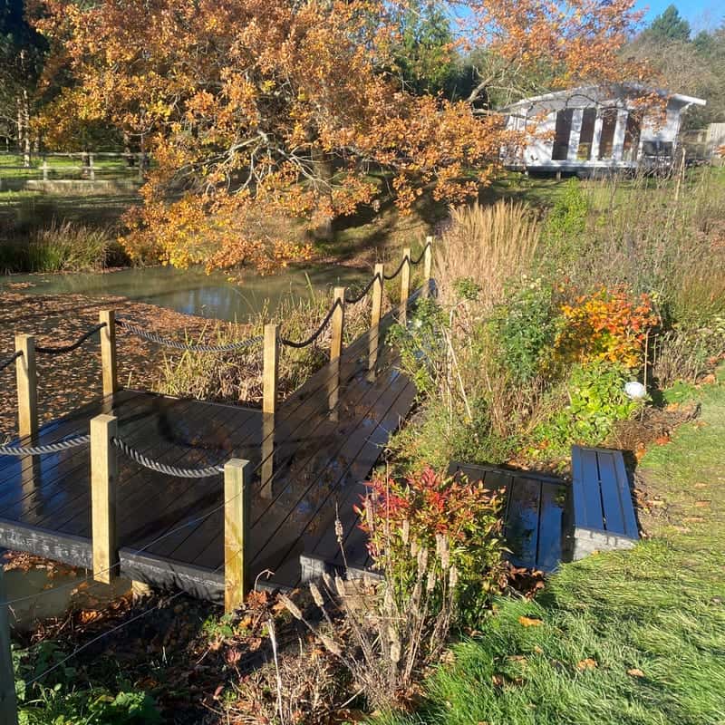 A timber jetty with rope rails over a pond, among autumn trees and grasses