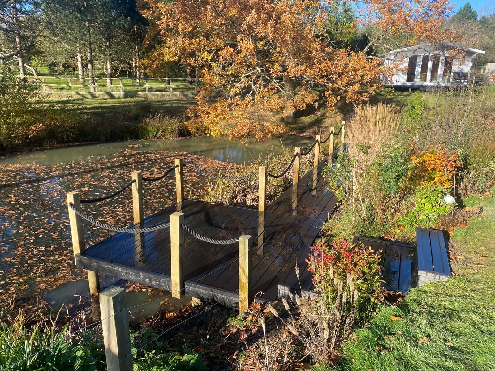 A timber jetty with rope rails over a pond, among autumn trees and grasses