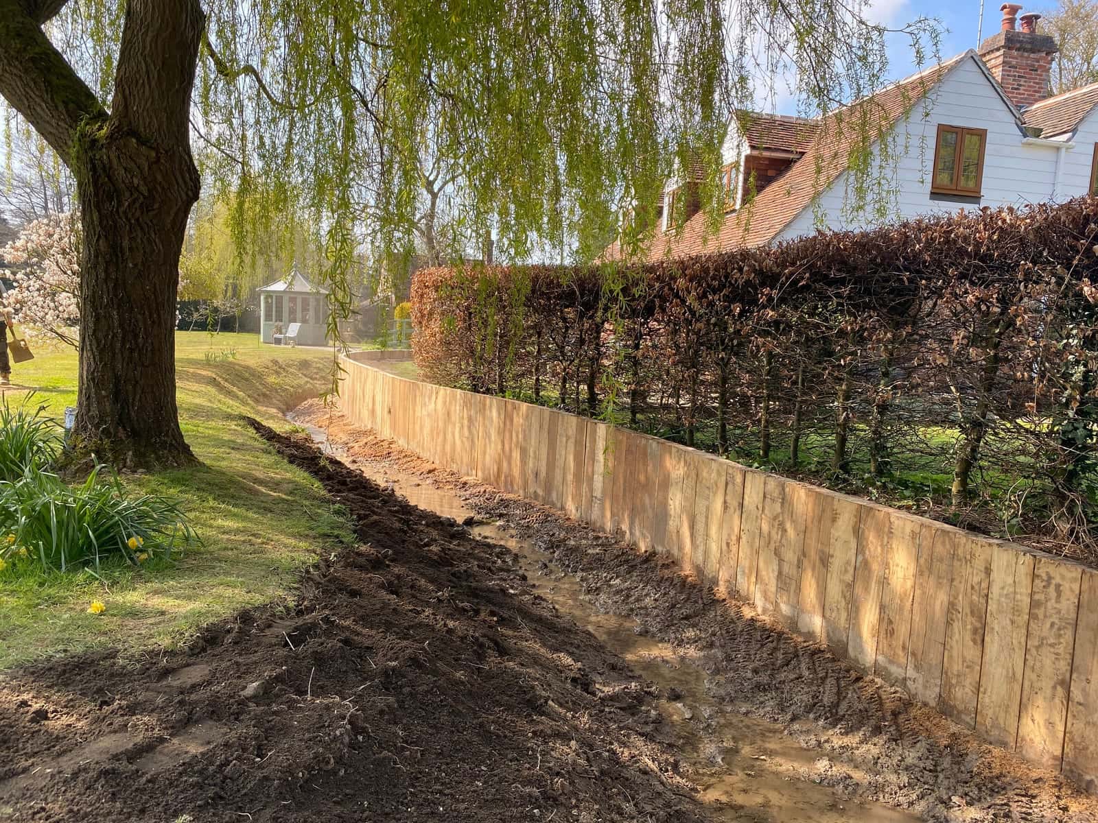 A new timber sleeper retaining wall beneath a beech hedge, with a weeping willow and a cottage beyond