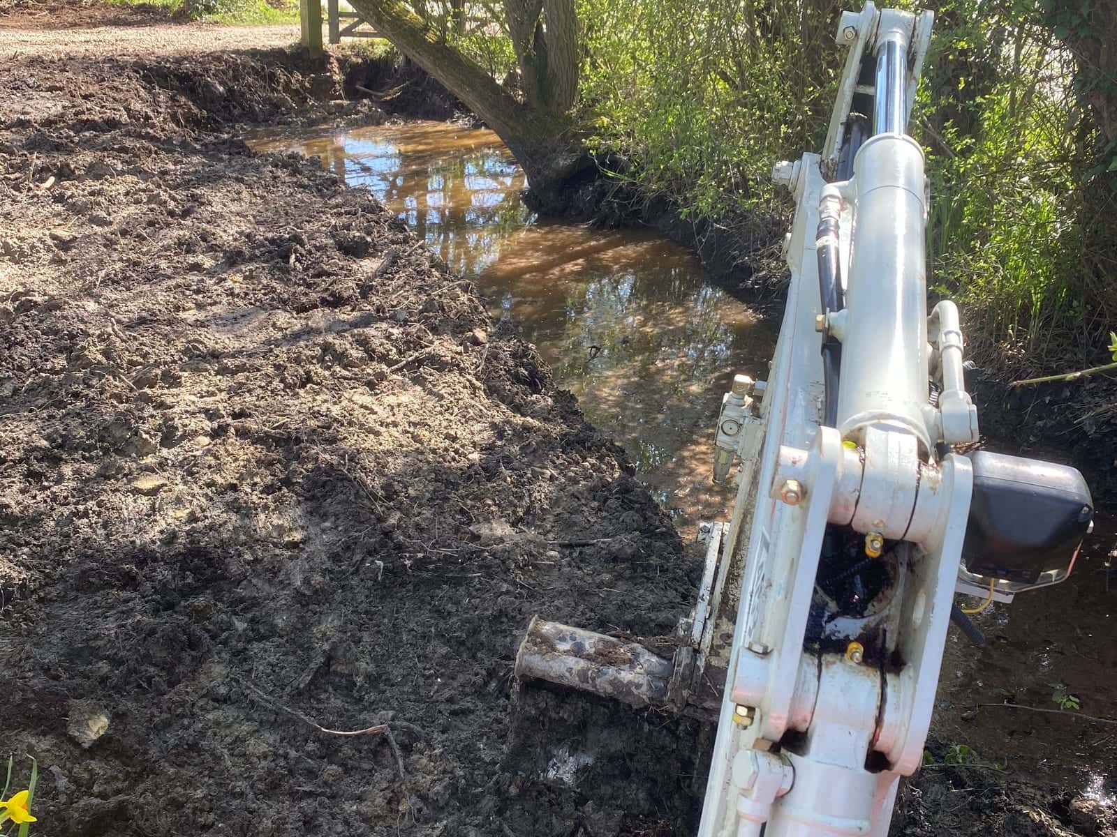 A mini digger arm reaching into a stream to clear the bank, with daffodils in the foreground
