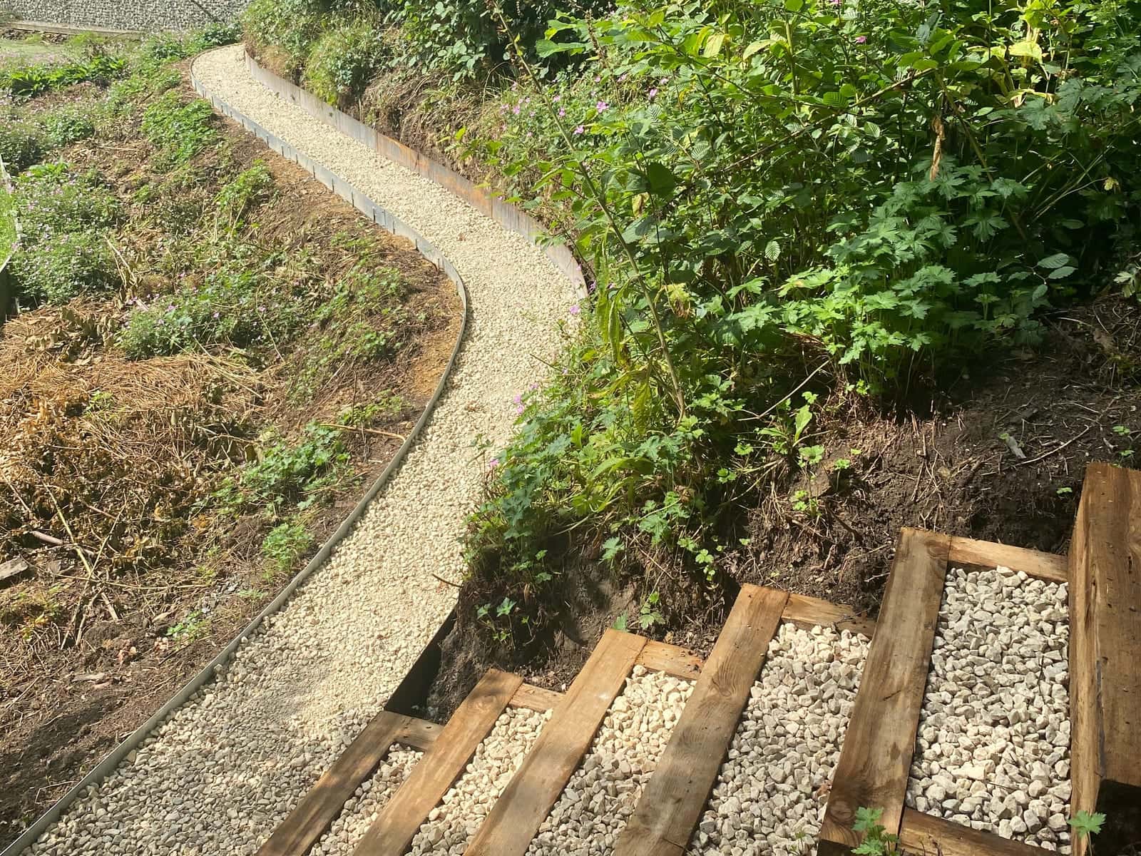 A gravel path and gravel-filled sleeper steps winding down through woodland planting