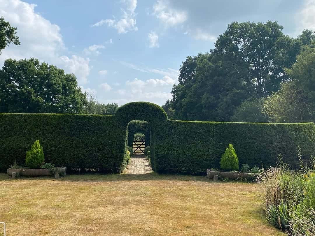 A long clipped yew hedge with an arched opening and a gate, across a summer lawn